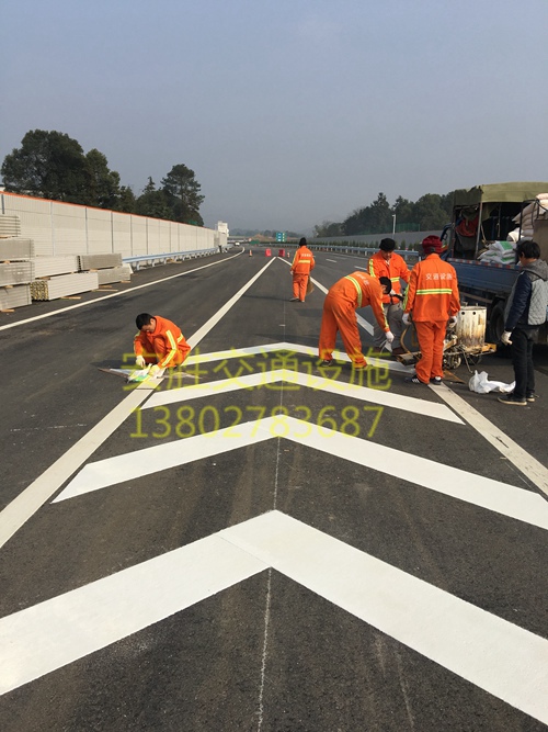  西部沿海高速路工程案例02